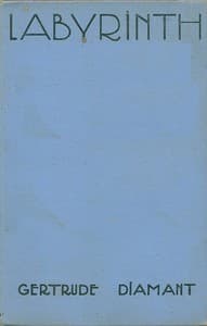 Labyrinth book cover