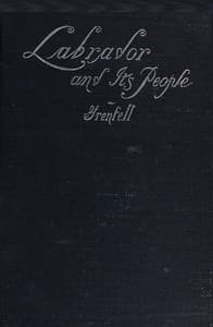 Vikings of to-day book cover