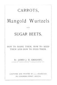 Carrots, mangold wurtzels and sugar beets