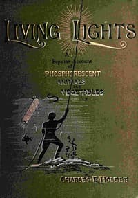 Living lights book cover