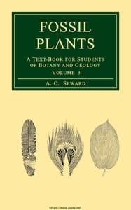 Fossil plants, Vol. 3