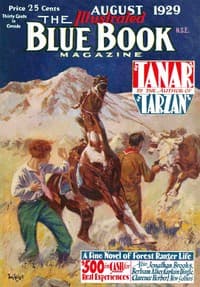 Storm book cover
